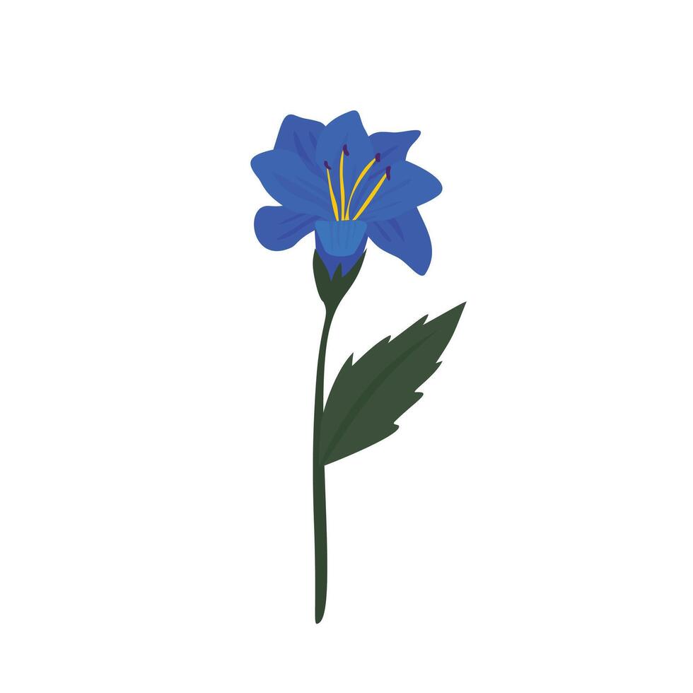 Blue Lily Flower in Full Bloom, Elegant Spring Floral Design with Soft Petals and Natural Aesthetic vector