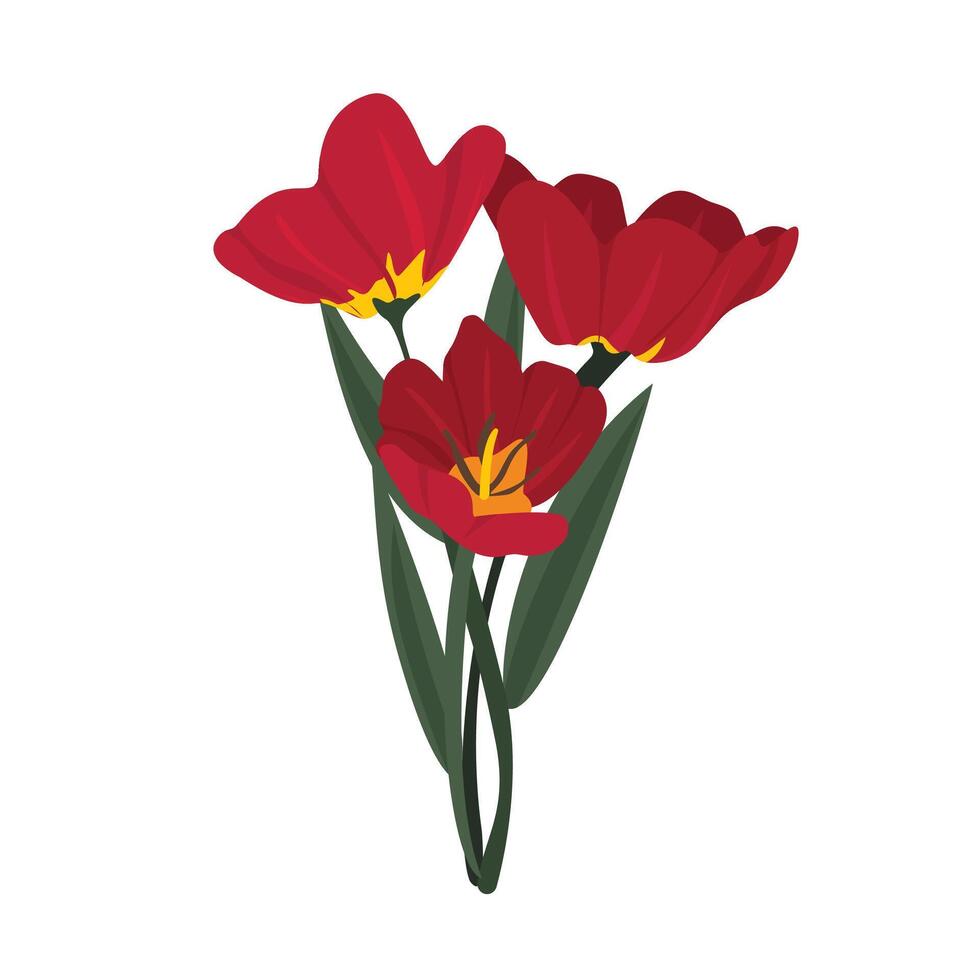 Vibrant Red Poppy Flower in Full Bloom, Delicate Spring Wildflower vector
