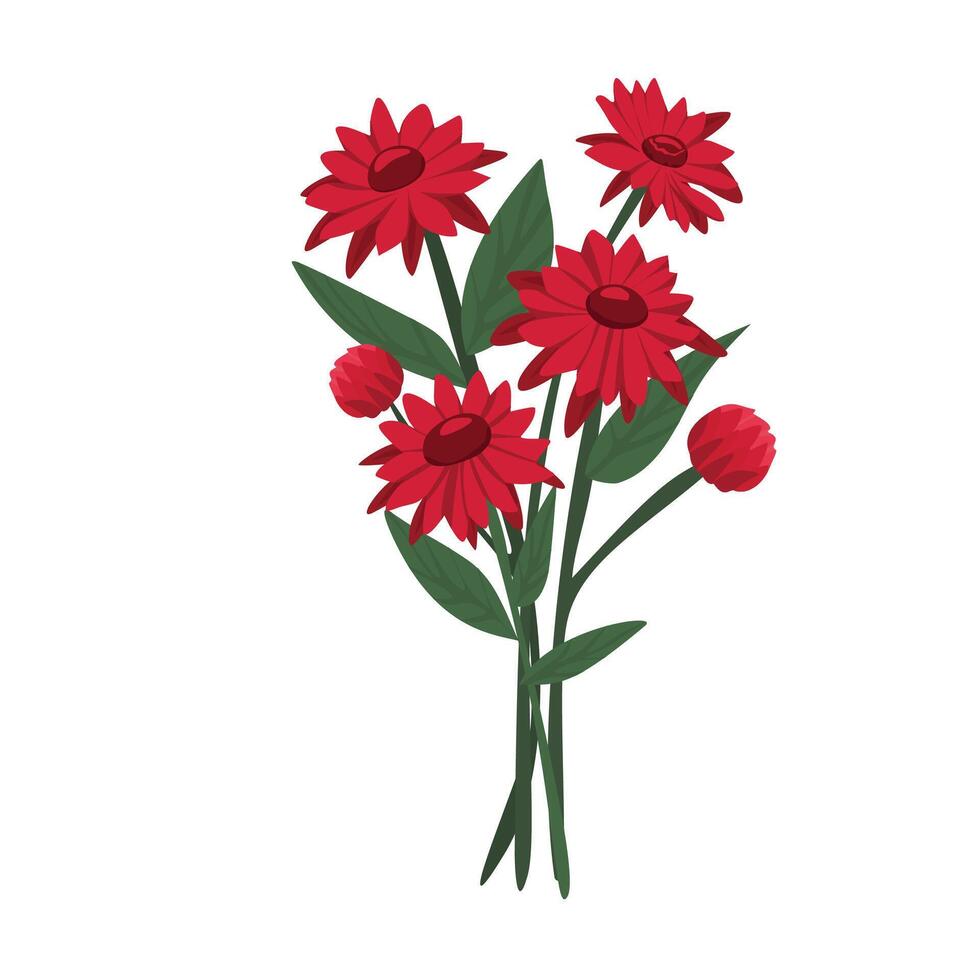 Vibrant Red Gerbera Daisy Flower in Full Bloom with Lush Petals vector