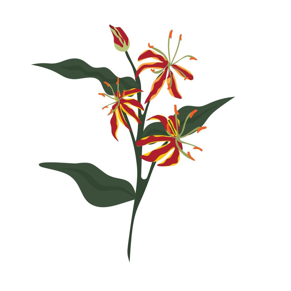 Elegant Red Spider Lily Flower in Full Bloom, Delicate Autumn Blossom vector