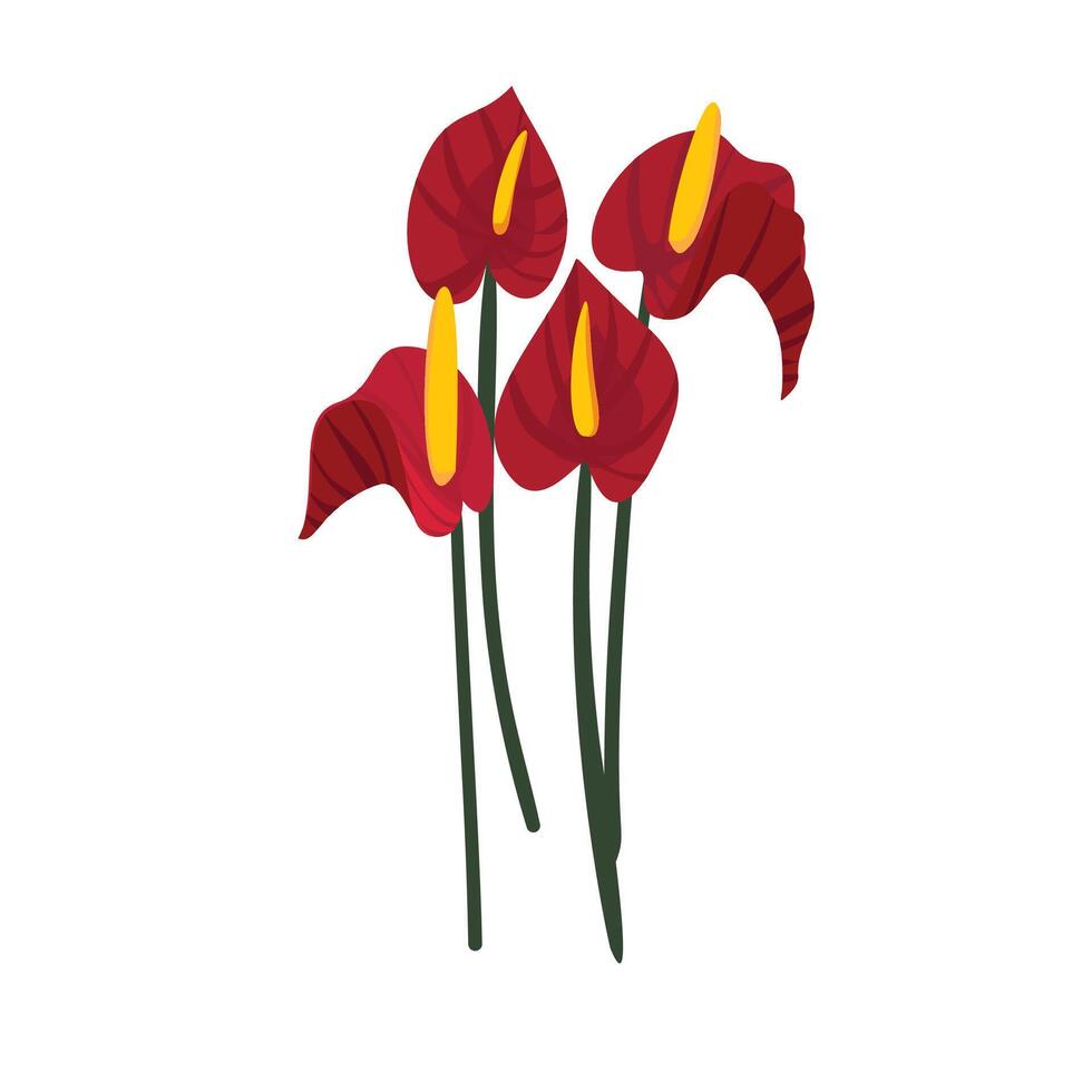 Bright Red Anthurium Flower with Lush Green Leaves in Full Bloom vector