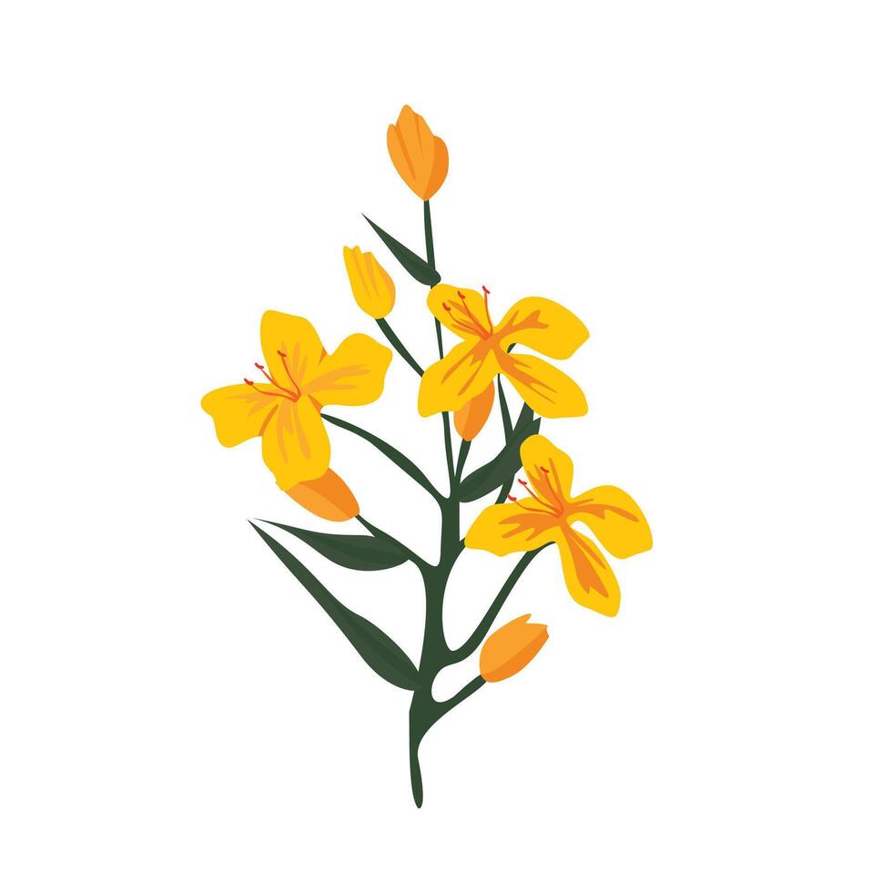 Vibrant Yellow Celandine and Canola Flowers in Bloom, Beautiful Spring Meadow Scene vector