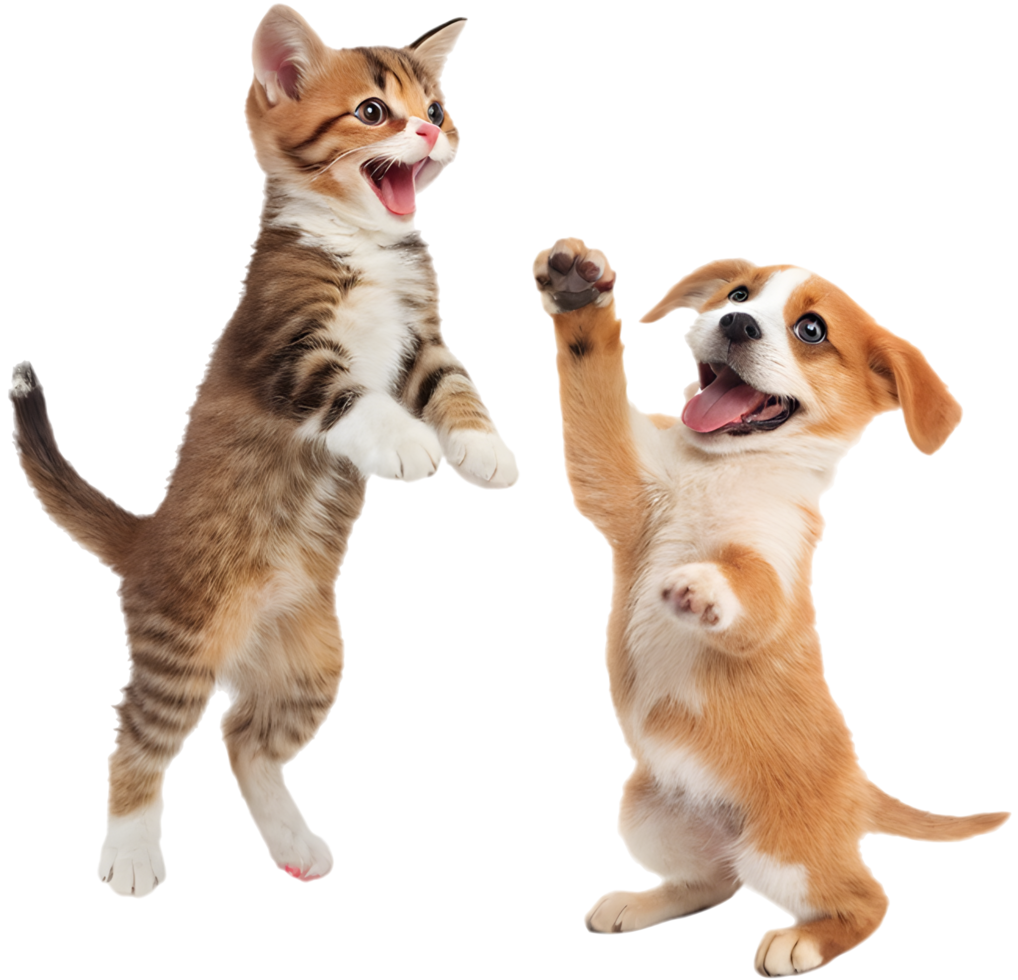 Best Friends Kitten and Puppy Cute Fun Pose. . png