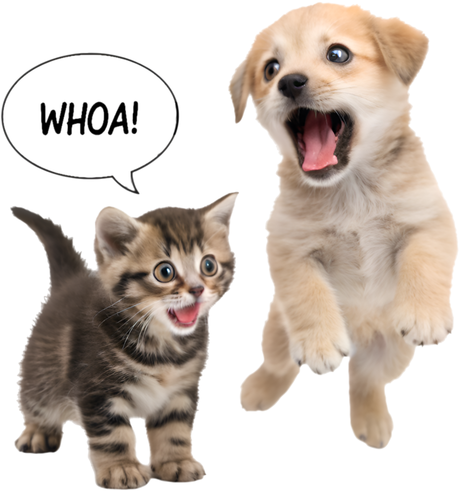 Cozy Kitten and Puppy Sweet Moment Together. . png