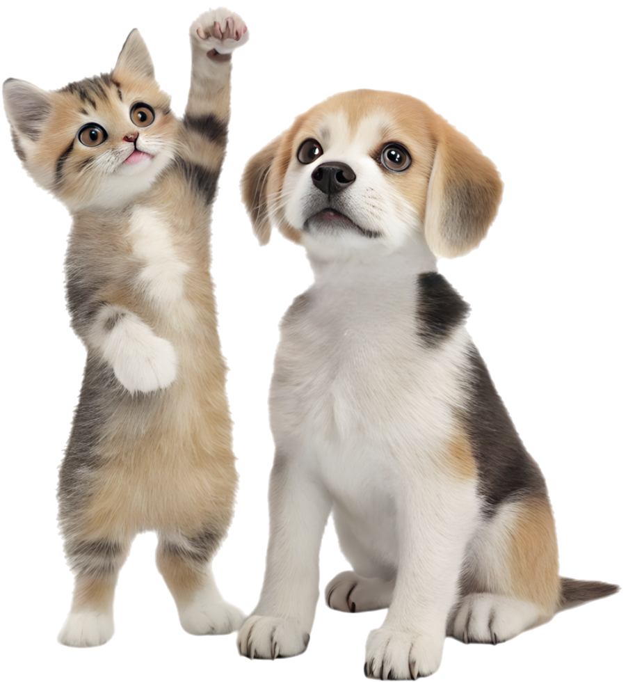 Happy Kitten and Puppy Cozy Cute Moment. . png