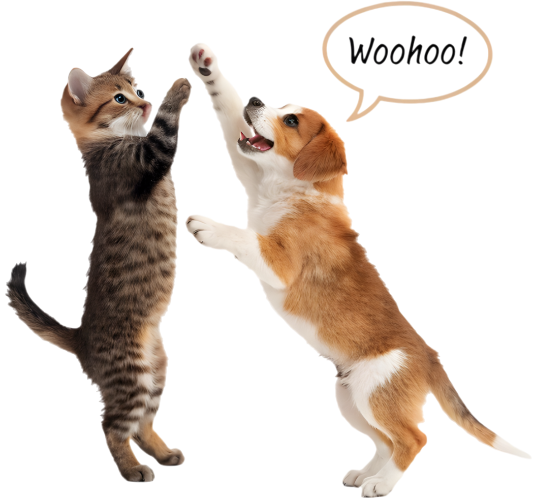 Soft Fur Kitten and Puppy Hugging in Sweetness. . png