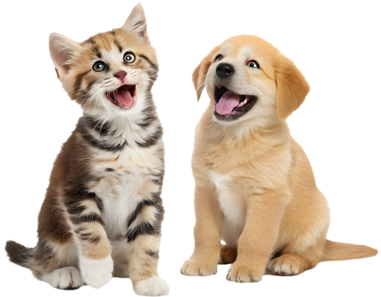 Happy Tails Kitten and Puppy Wagging with Excitement. . png