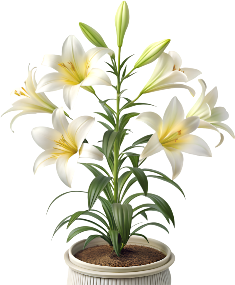 Graceful Lily Flower Artwork with Colorful Petals and Detailed Design. . png