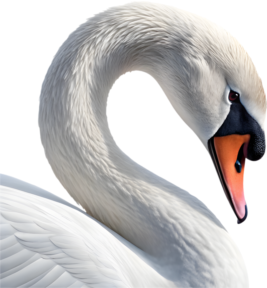 Serene swan with smooth water reflection. . png