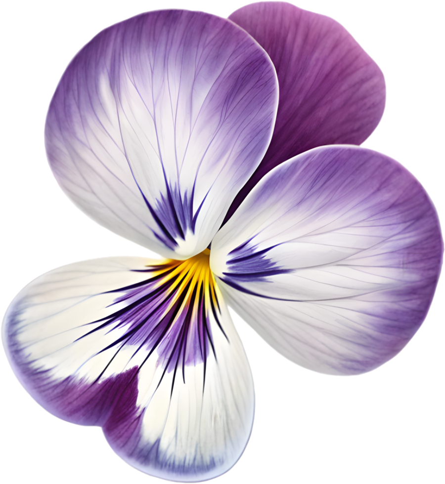 Luxury Floral Pansy Logo for Branding and Elegant Design. . png