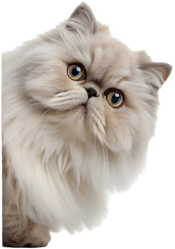 Captivating Peeking Kitten Art for Your Digital Collection. . png