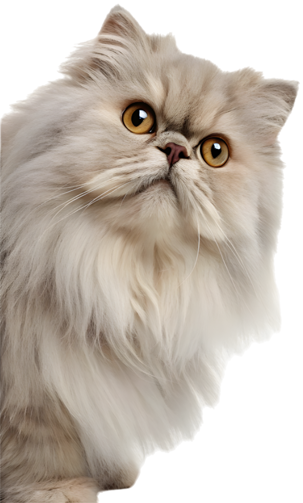 Playful Kitten Clipart Evoking Curiosity and Charm. . png