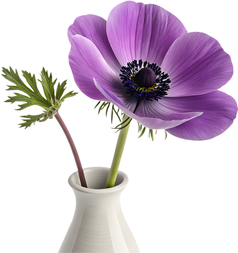 Aesthetic Poppy Flower in Artistic Style. . png