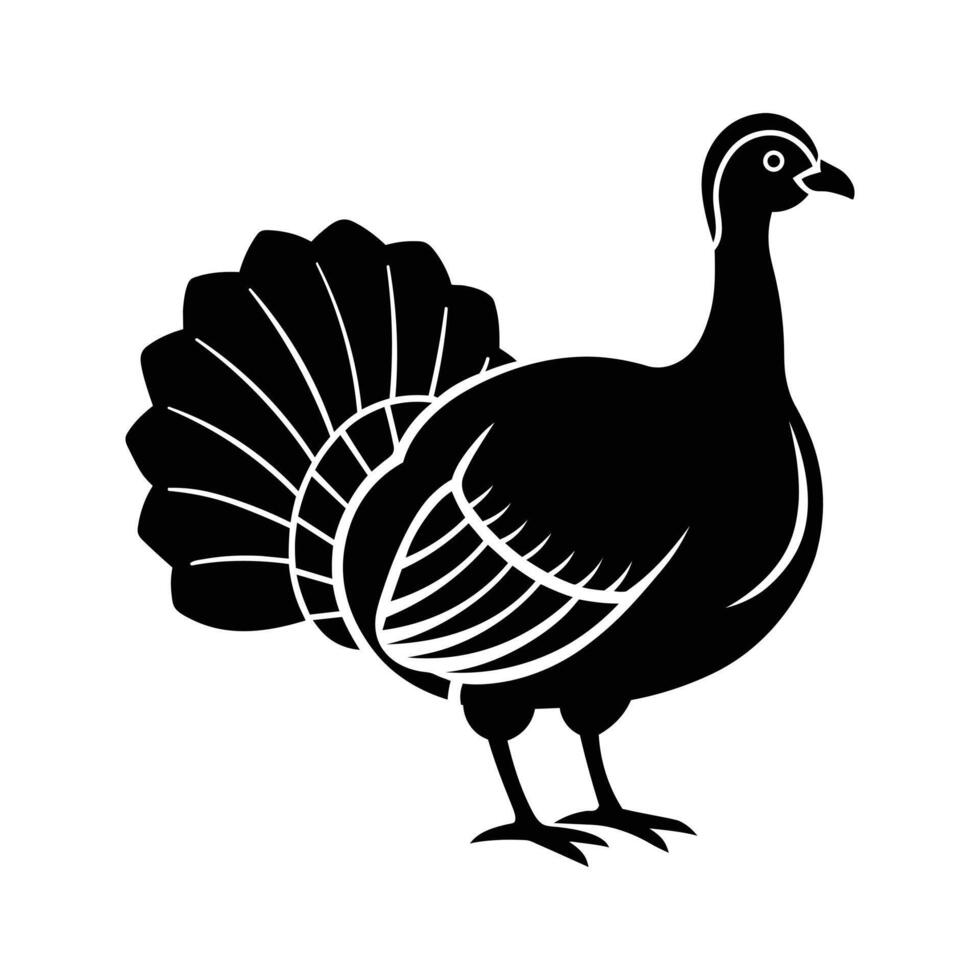 turkey chicken bird illustration vector