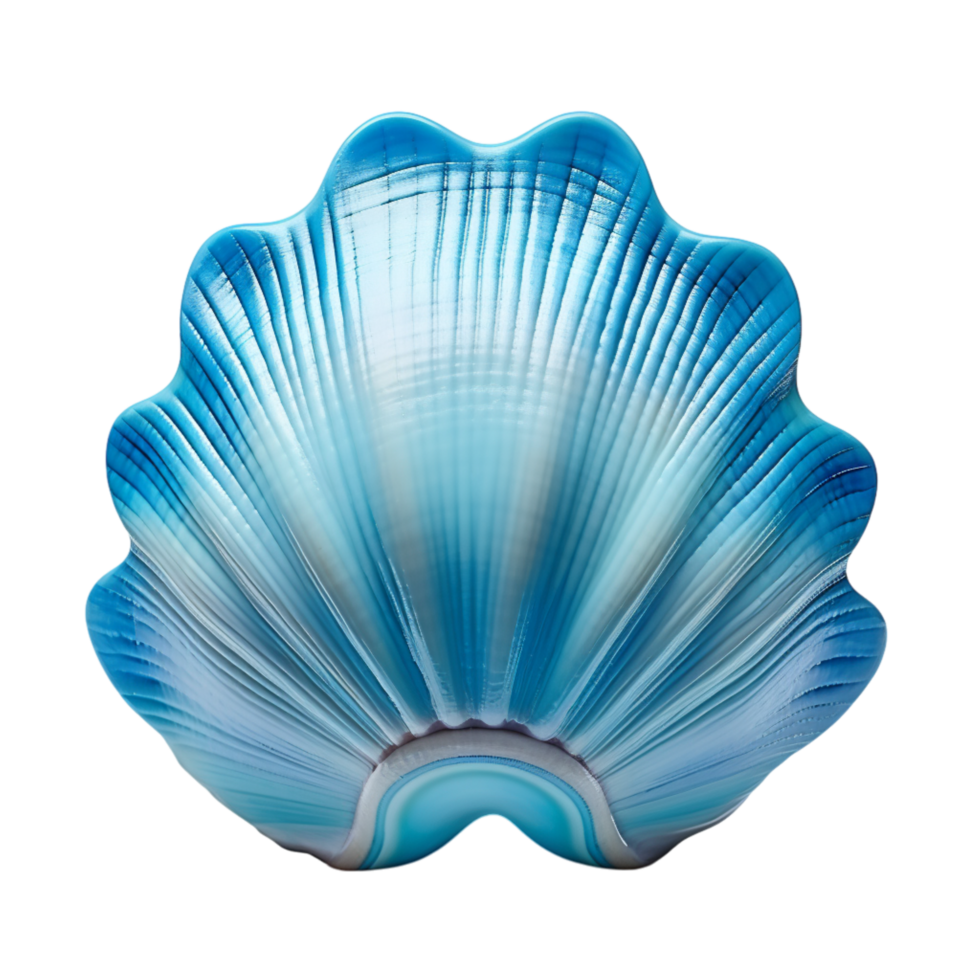 Beautifully detailed blue seashell a glossy shiny surface png