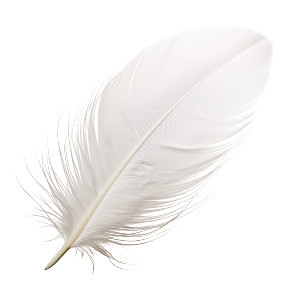 Soft white feather floating gently fine delicate strs png