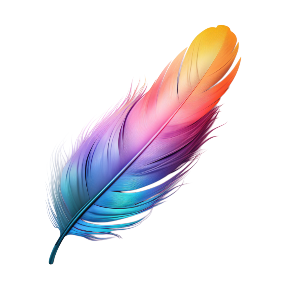 Vibrant multicolored feather with a soft texture png