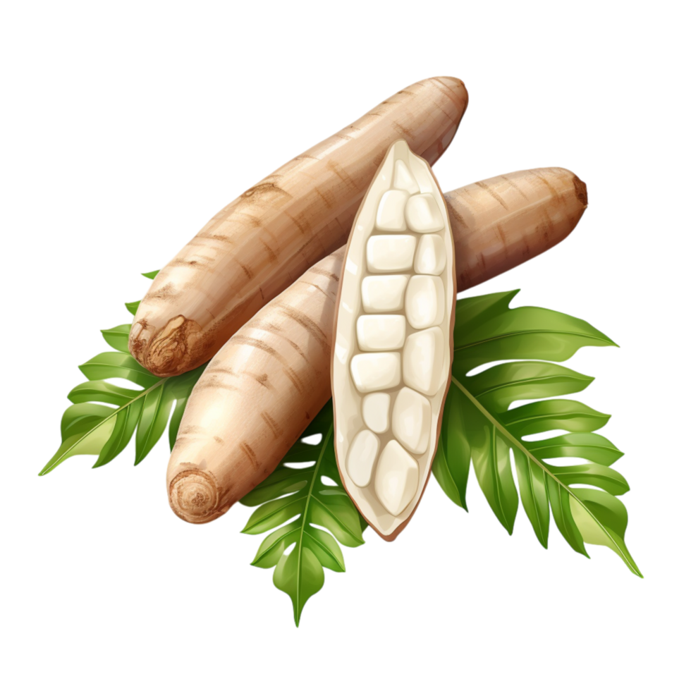 Group of fresh cassava roots with green leaves png