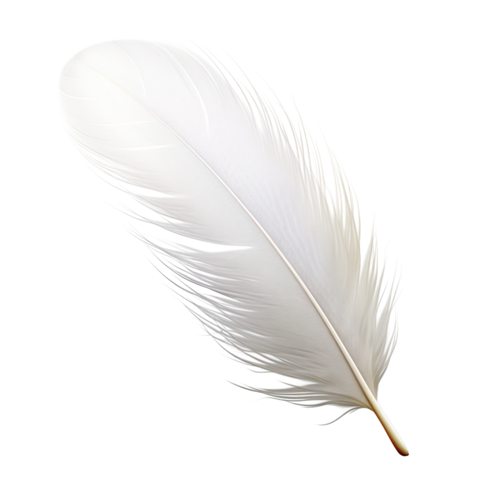 Soft white feather floating gently with fine delicate strands png