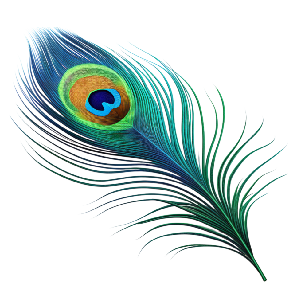 Elegant peacock feather with a mesmerizing blue and green eye pattern png