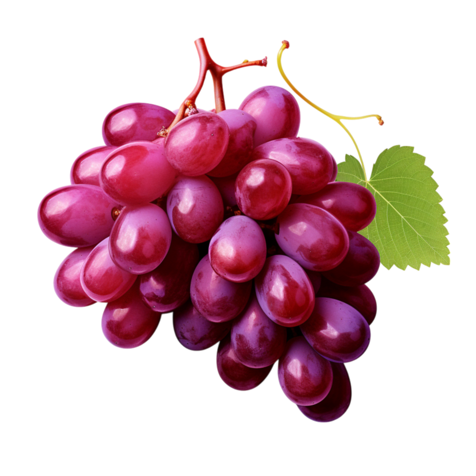 Plump cluster of fresh purple grapes hanging gracefully from a vine png