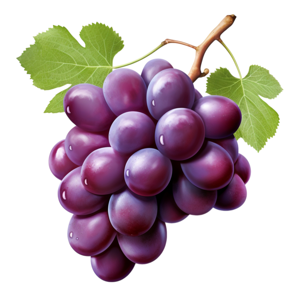 Cluster of fresh purple grapes hanging on a vine png