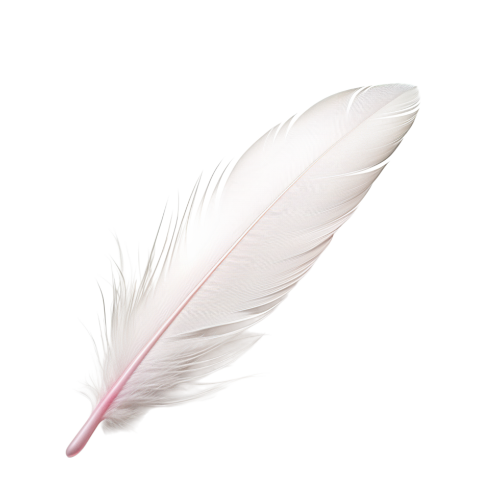 Soft white feather drifting gently with fine, delicate strands png
