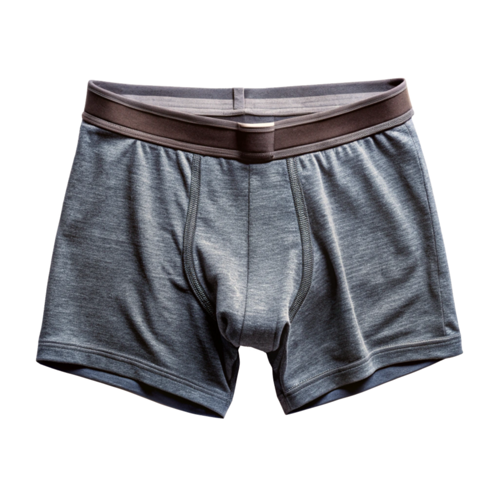 HighQuality Gray Men's Boxer Briefs Underwear Soft Comfortable Fabric png
