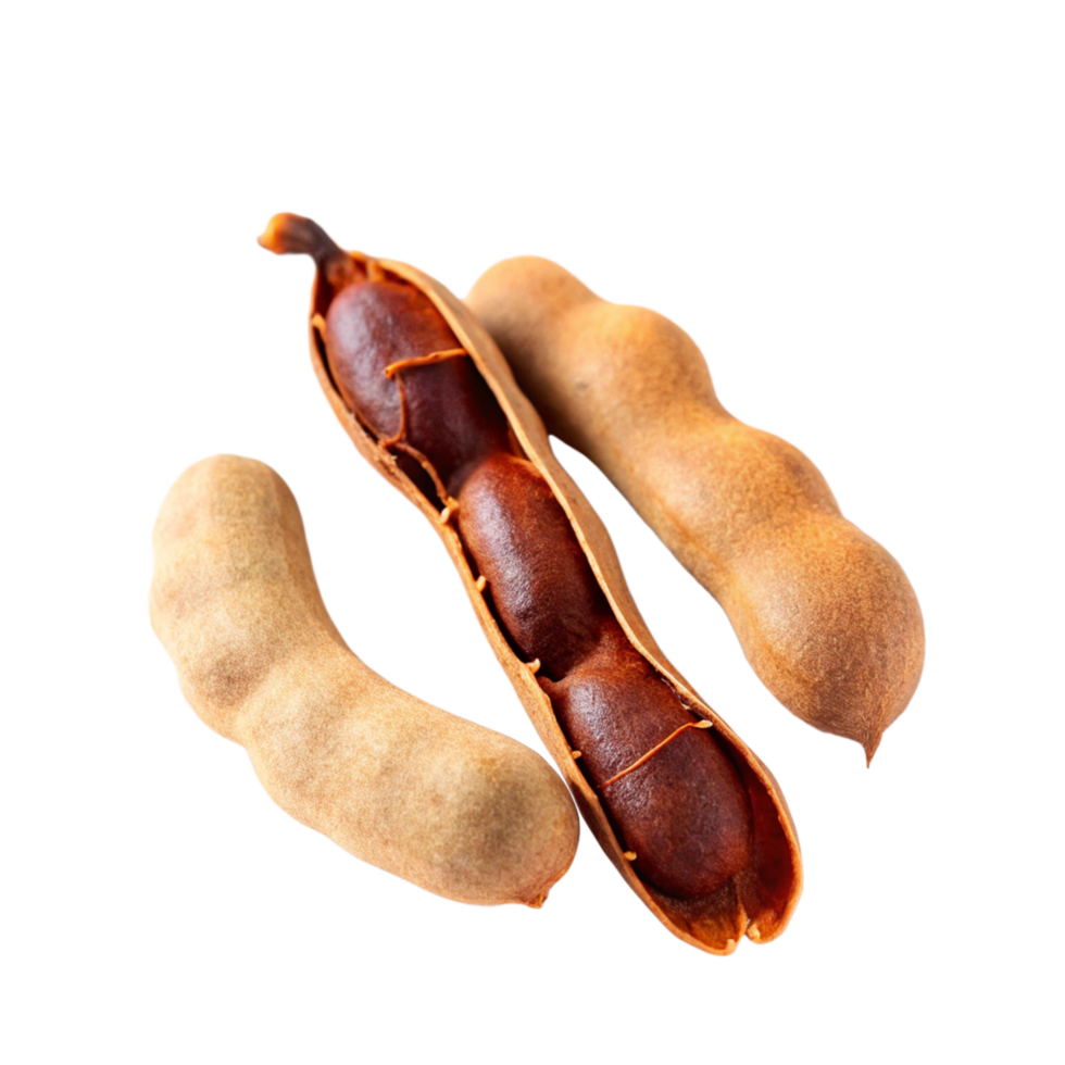 Closeup view of three tamarind pods one open revealing its dark brown pulp and seeds against a black background png