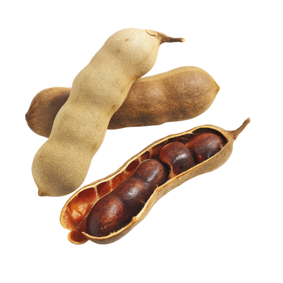 Closeup of Tamarind Pods Showing Pulp and Seeds against a Black Background png
