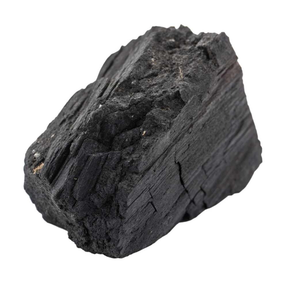 Closeup view of a single piece of black charcoal, showing its rough texture and porous surface png