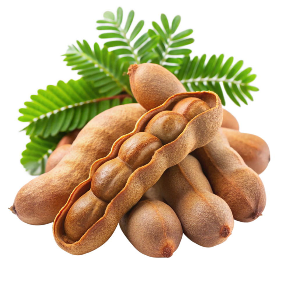 A Closeup of Fresh Tamarind Fruits png