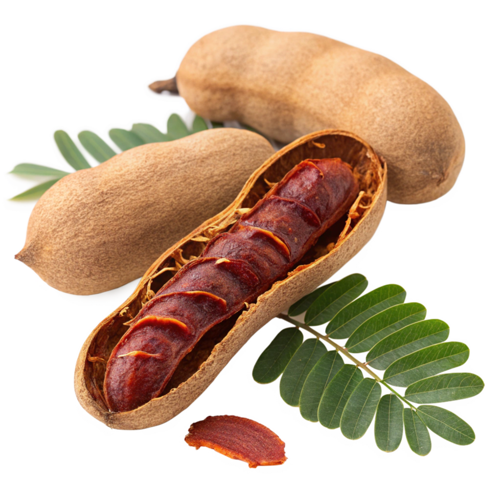 Closeup of Tamarind Fruit Pods with Leaves Showing Pulp and Seeds png
