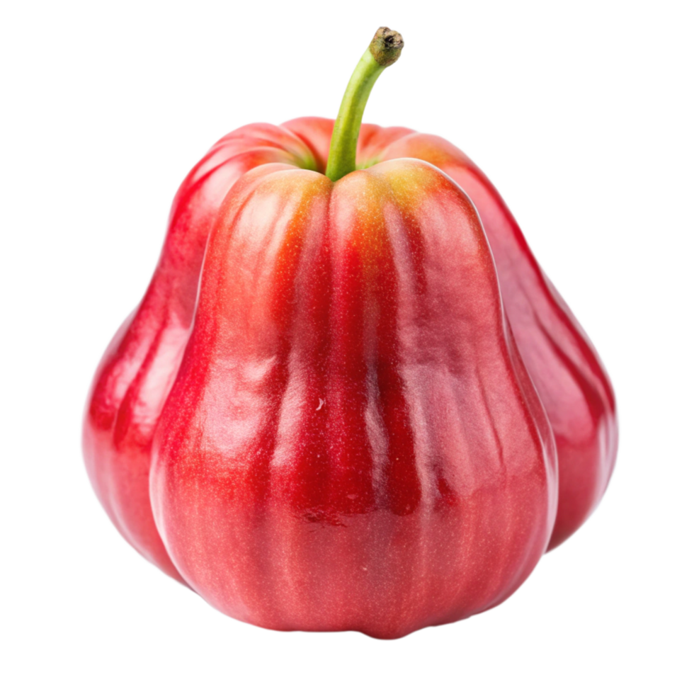 Vibrant Red Wax Apple Rose Apple Fruit on Black Background Closeup Studio Shot png
