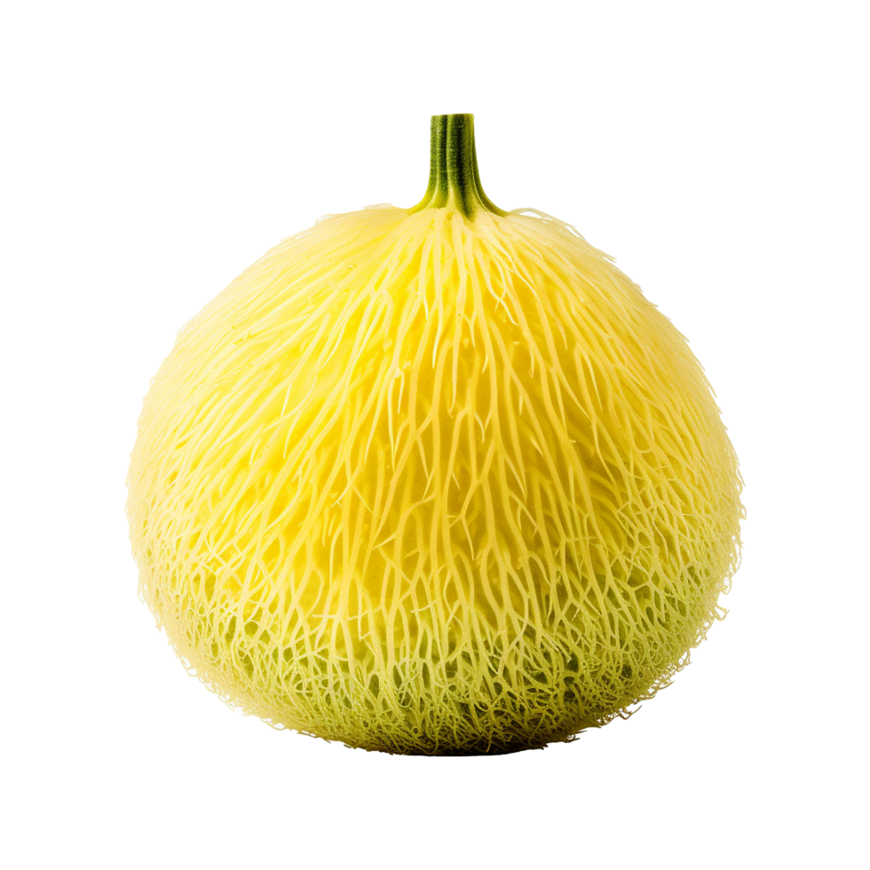 Closeup of a Unique Yellow Vegetable with Intricate Fibrous Texture png