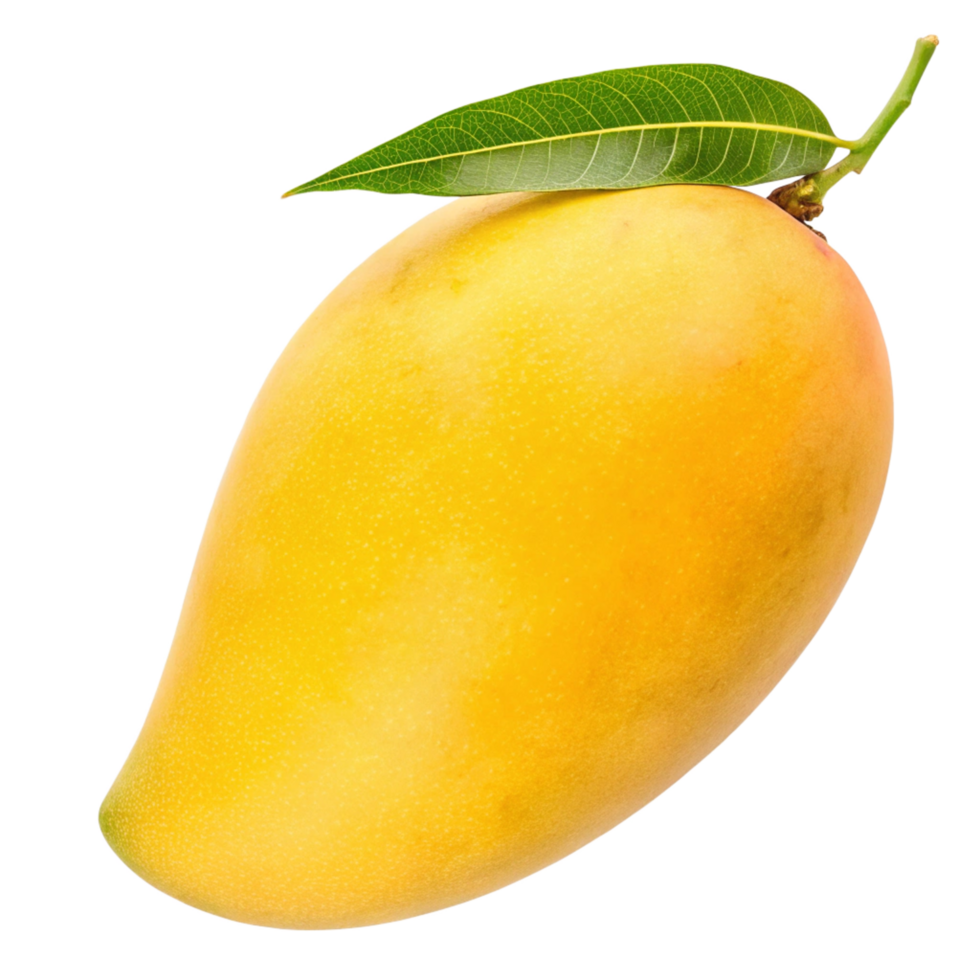 A single ripe yellow mango with a green leaf attached to its stem png