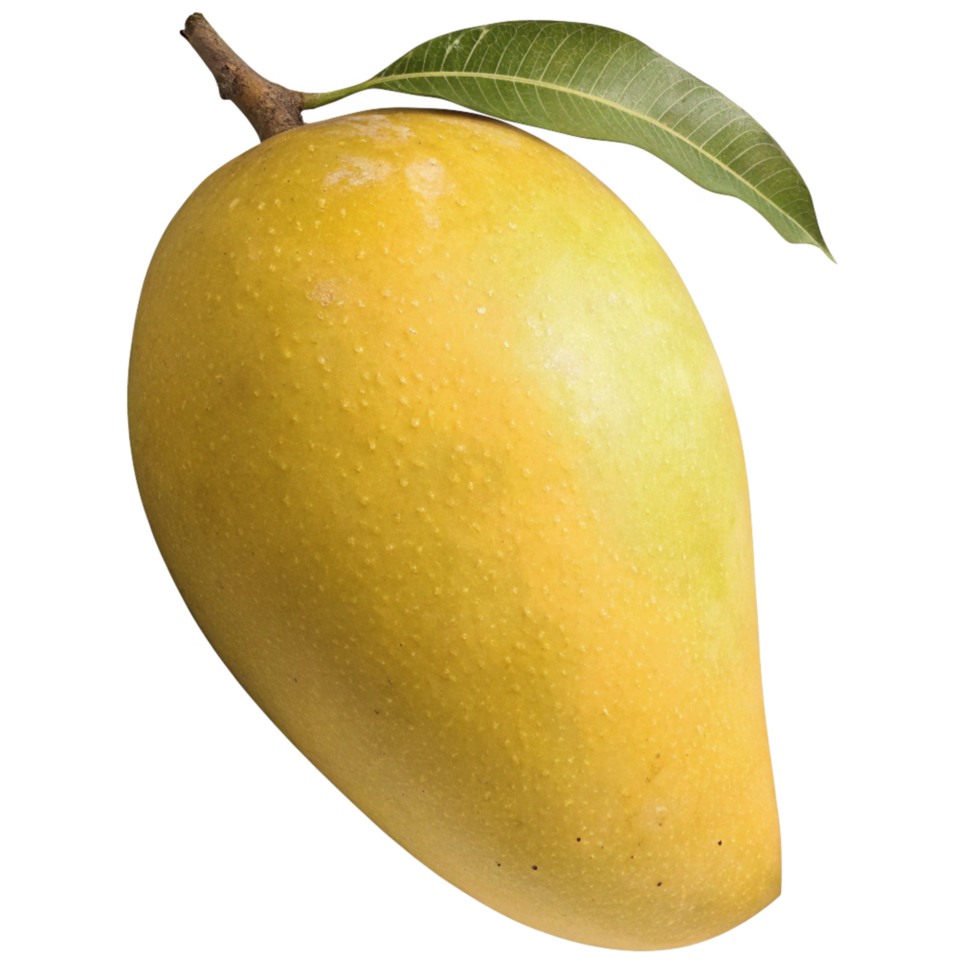 A yellow mango with a green leaf attached a delicious tropical fruit png