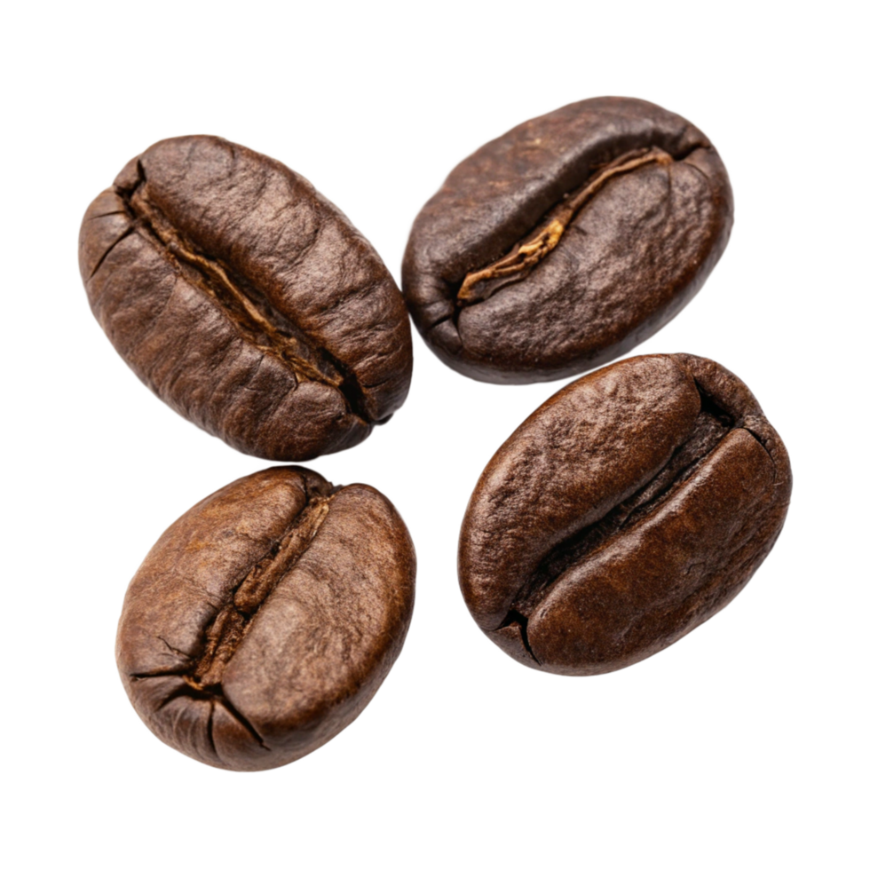 Four Roasted Coffee Beans Close Up Macro Photography Image png