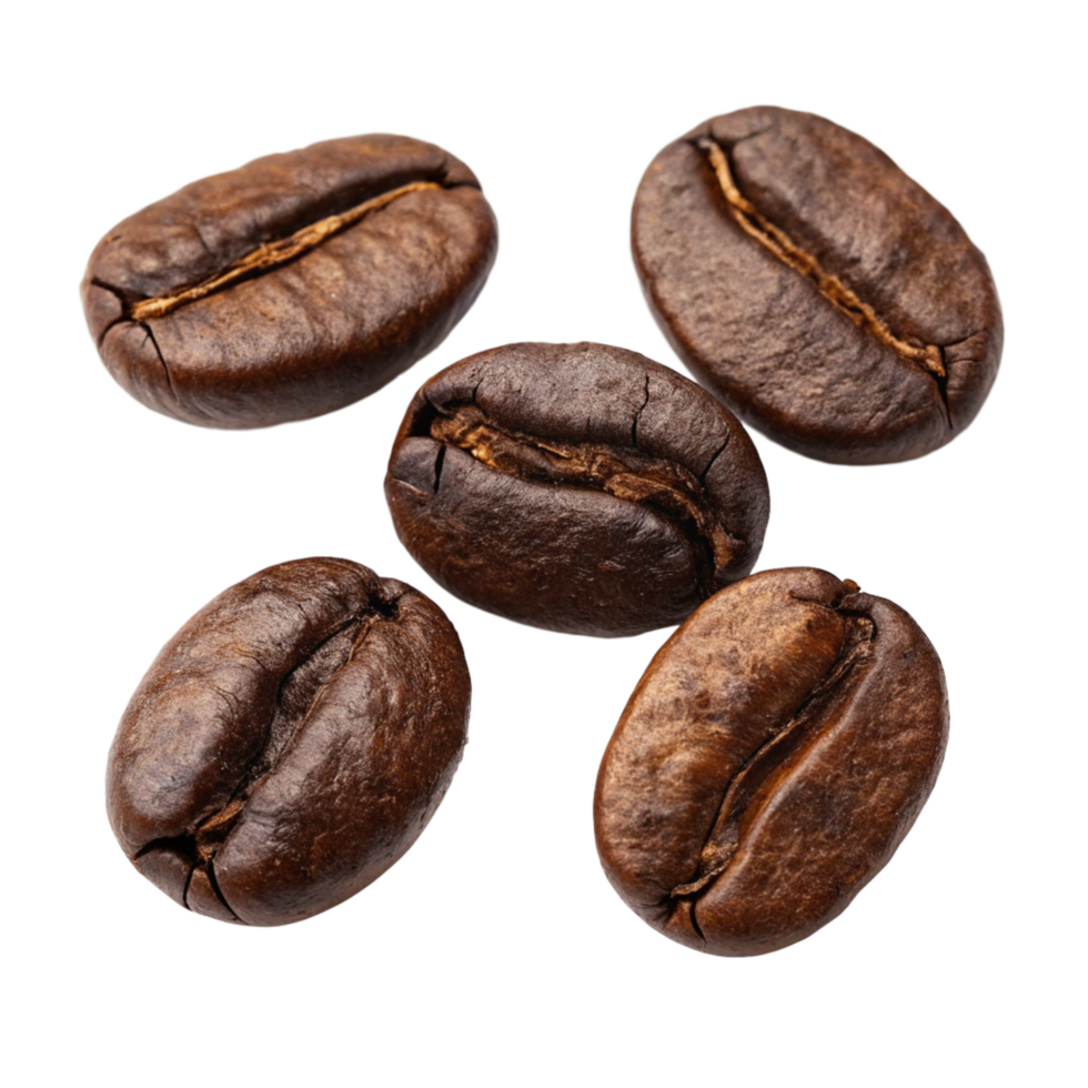 High resolution close up image of four roasted coffee beans isolated on black background png
