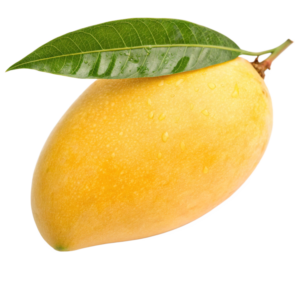 Ripe Yellow Mango with Green Leaf and Water Droplets Delicious Tropical Fruit png