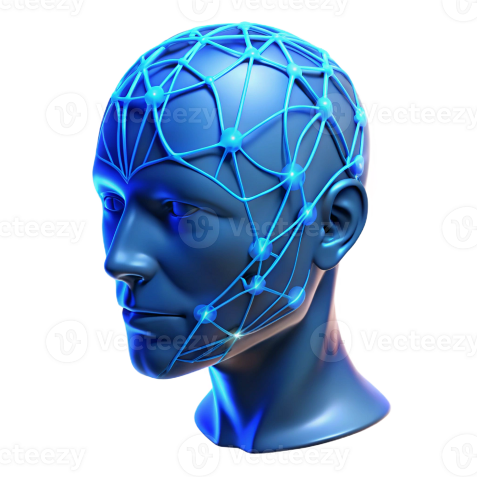 extraordinary rustic A Transparent Human Head with Visible Neu original png