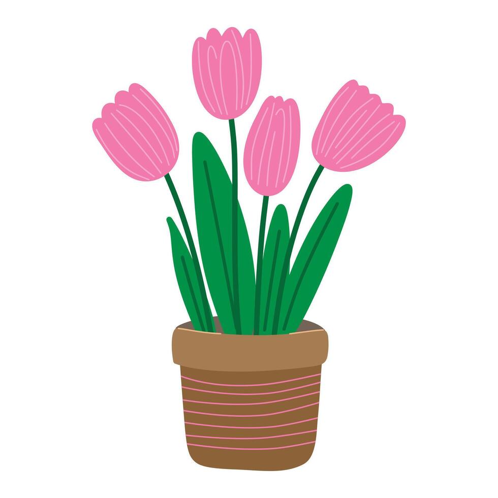 Cute Hand Drawn Pink Tulip Flowers in a Pot. Minimalist Childish Doodle Floral Arrangement for Easter and Spring Holidays vector