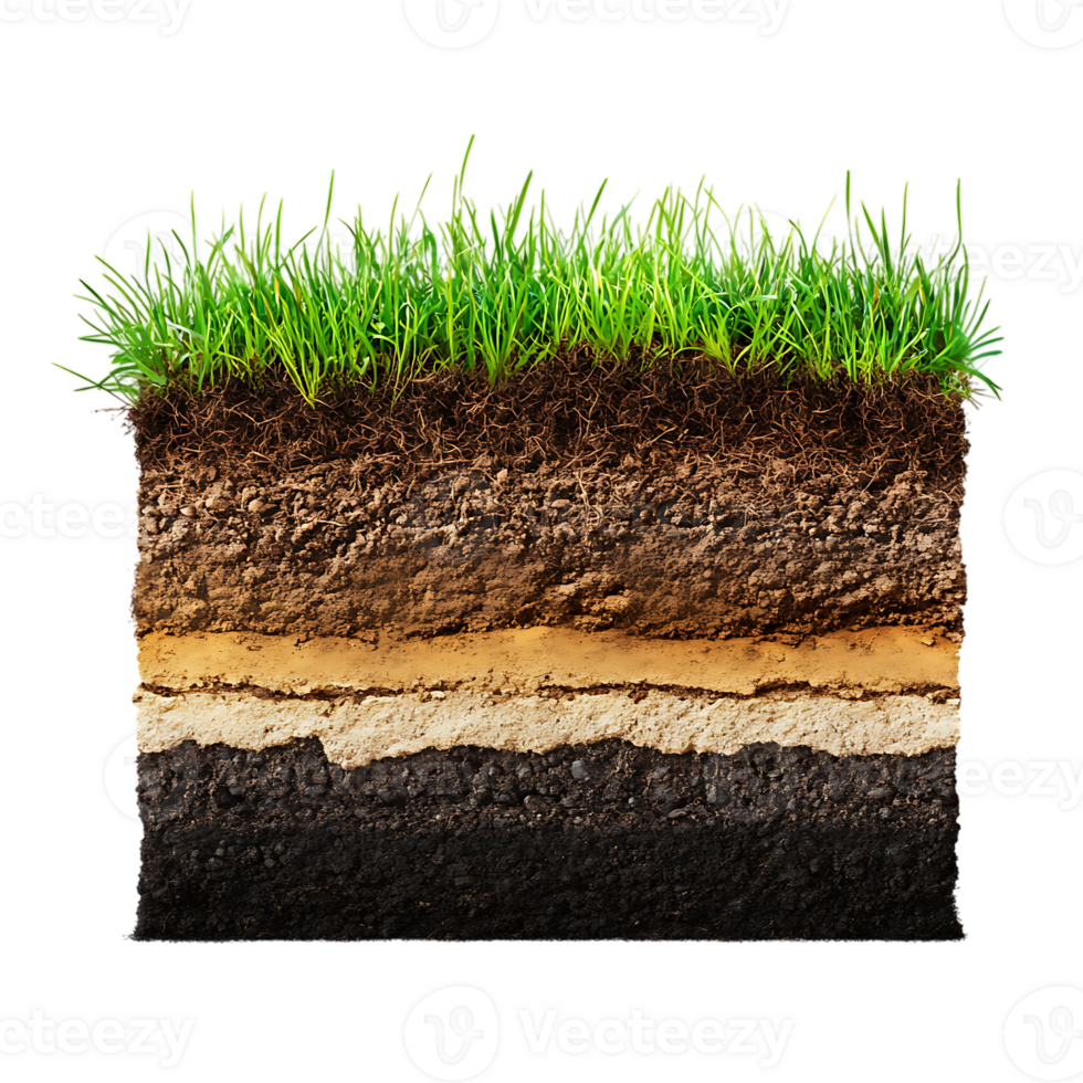 The soil layer is shown with grass and dirt png