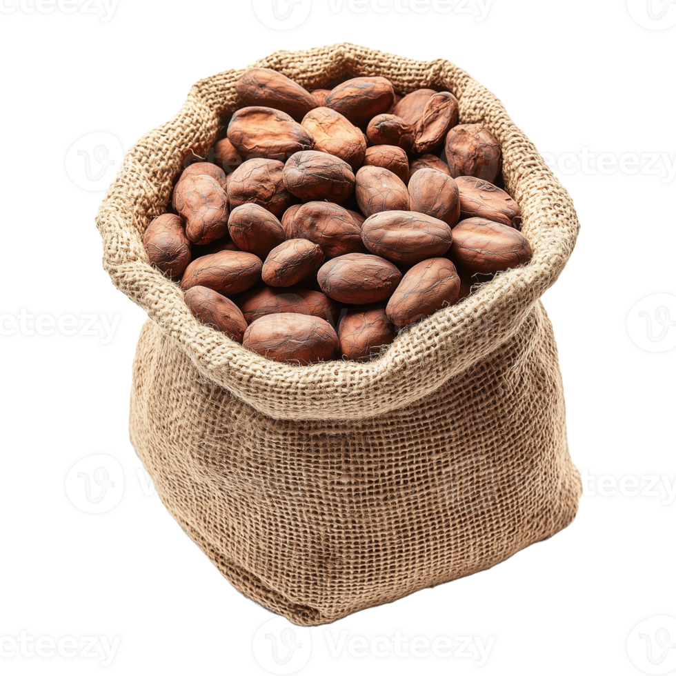 Sack of Cocoa Beans for Chocolate Production and Culinary png