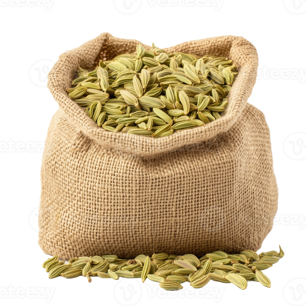 Burlap Sack Filled with Fennel Seeds png