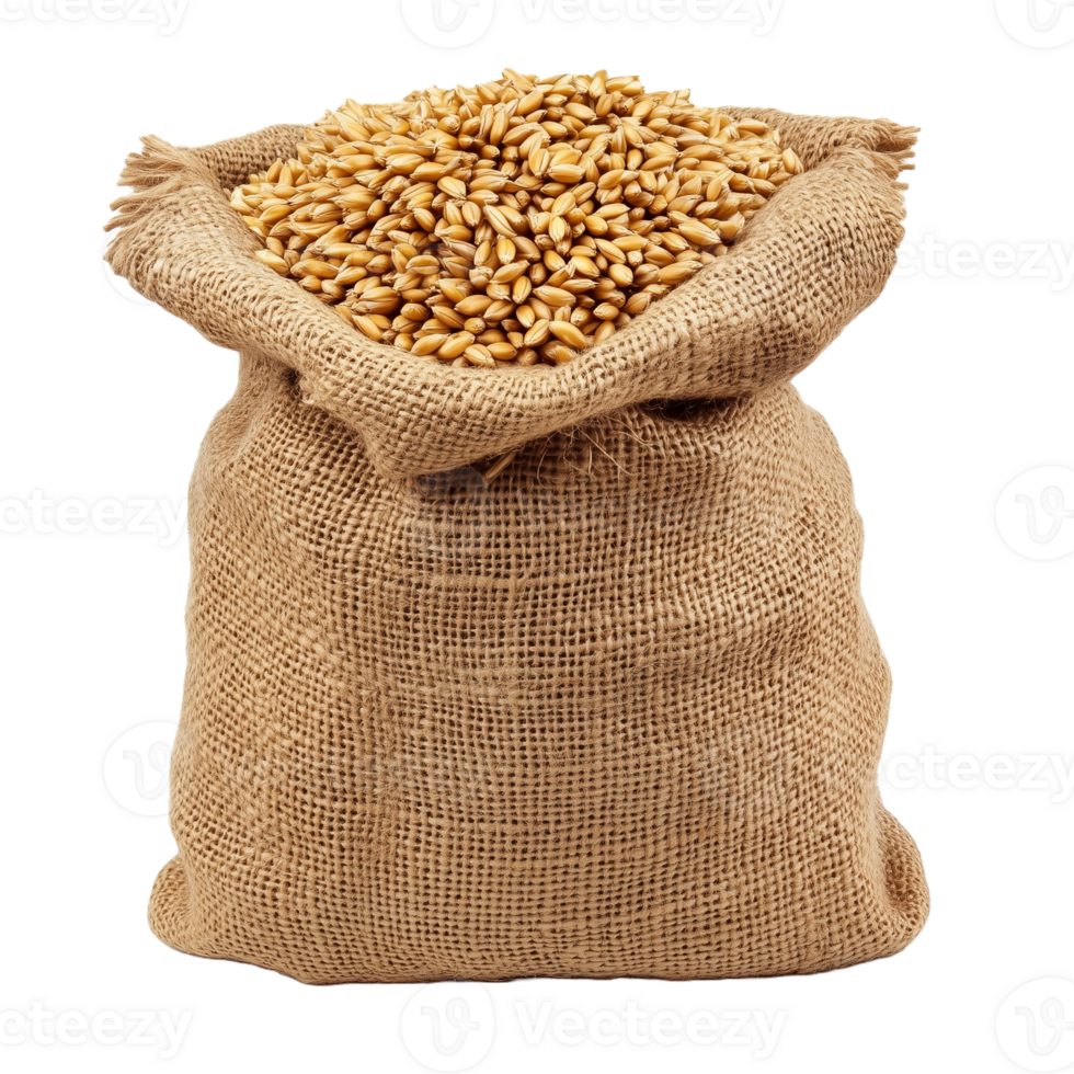 Burlap Sack Filled with Healthy Oats png