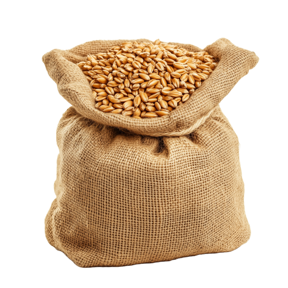 Burlap Sack Filled with Healthy Oats for Snacks png