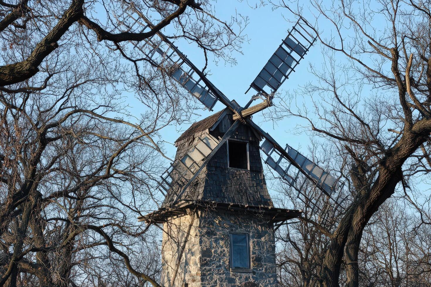 A windmill in the woods photo