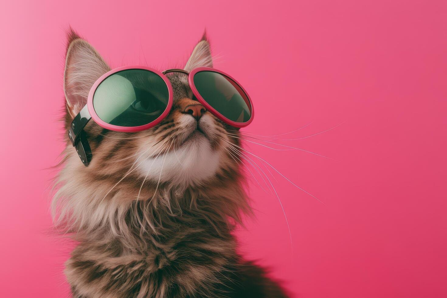 A cat wearing sunglasses on a pink background photo