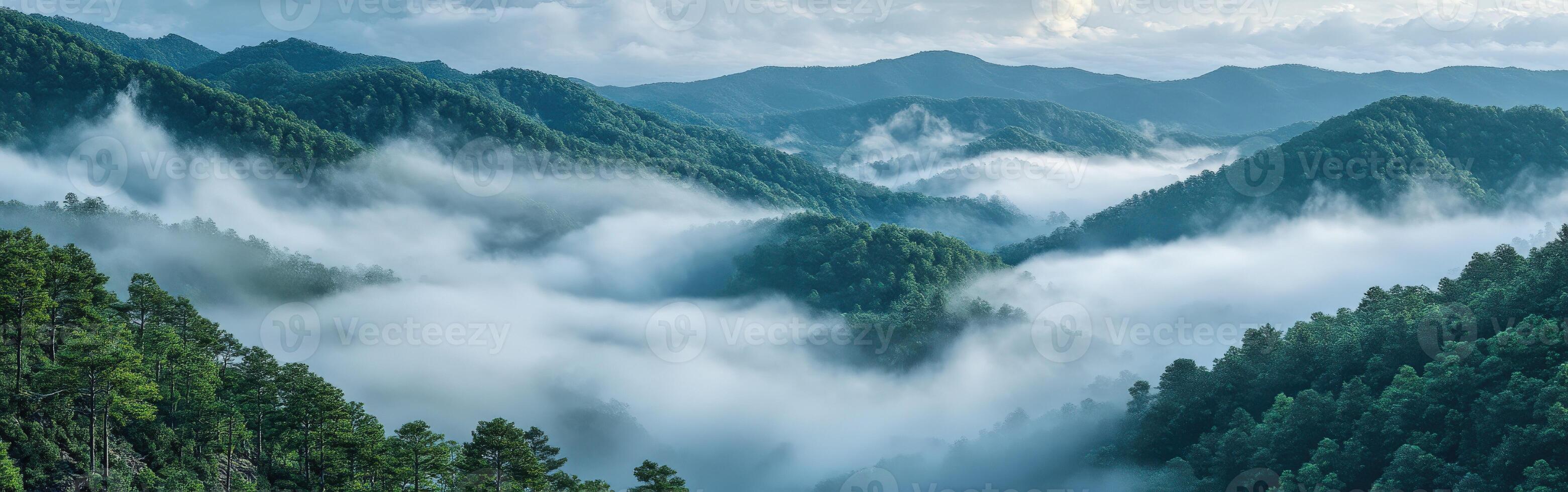 Misty hills enveloped in fog during tranquil morning light photo